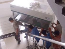  临沂钢琴鱼缸搬运