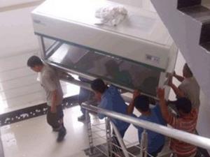  临沂钢琴鱼缸搬运